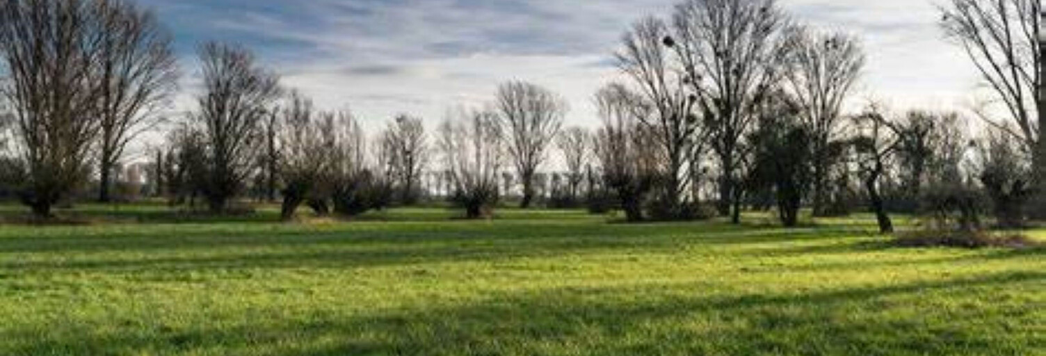 Terrain  1990 m² à vendre à Mérignies (59710)