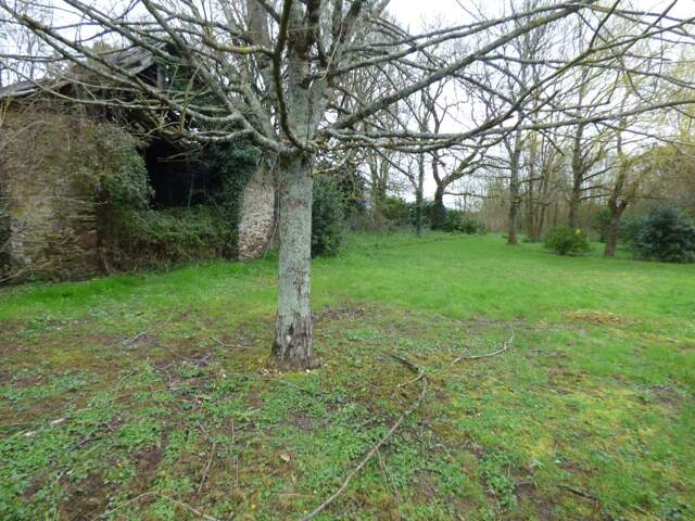Terrain À Vendre — photo du bien