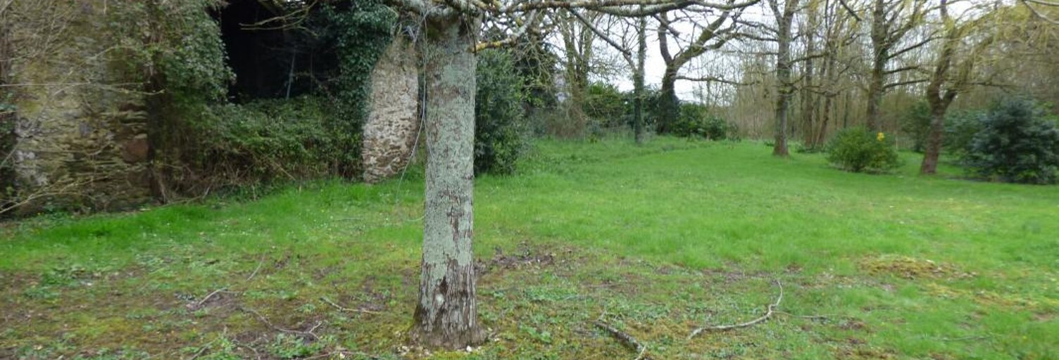 Terrain  400 m² à vendre à Blain (44130)