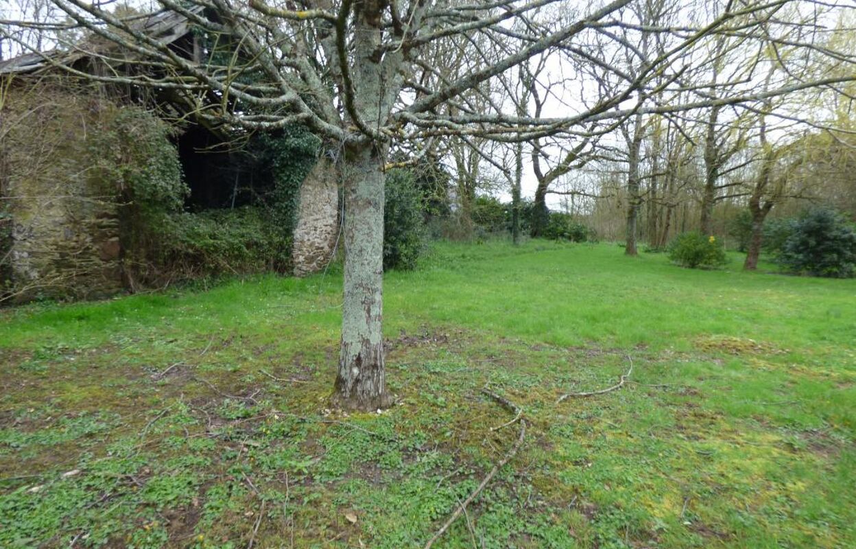 terrain  pièces 400 m2 à vendre à Blain (44130)