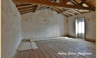 Photo N° 6