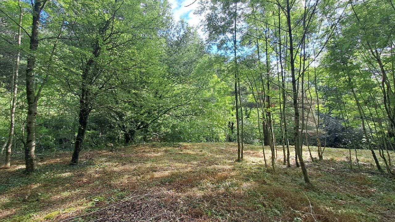 terrain  pièces 14472 m2 à vendre à Génolhac (30450)