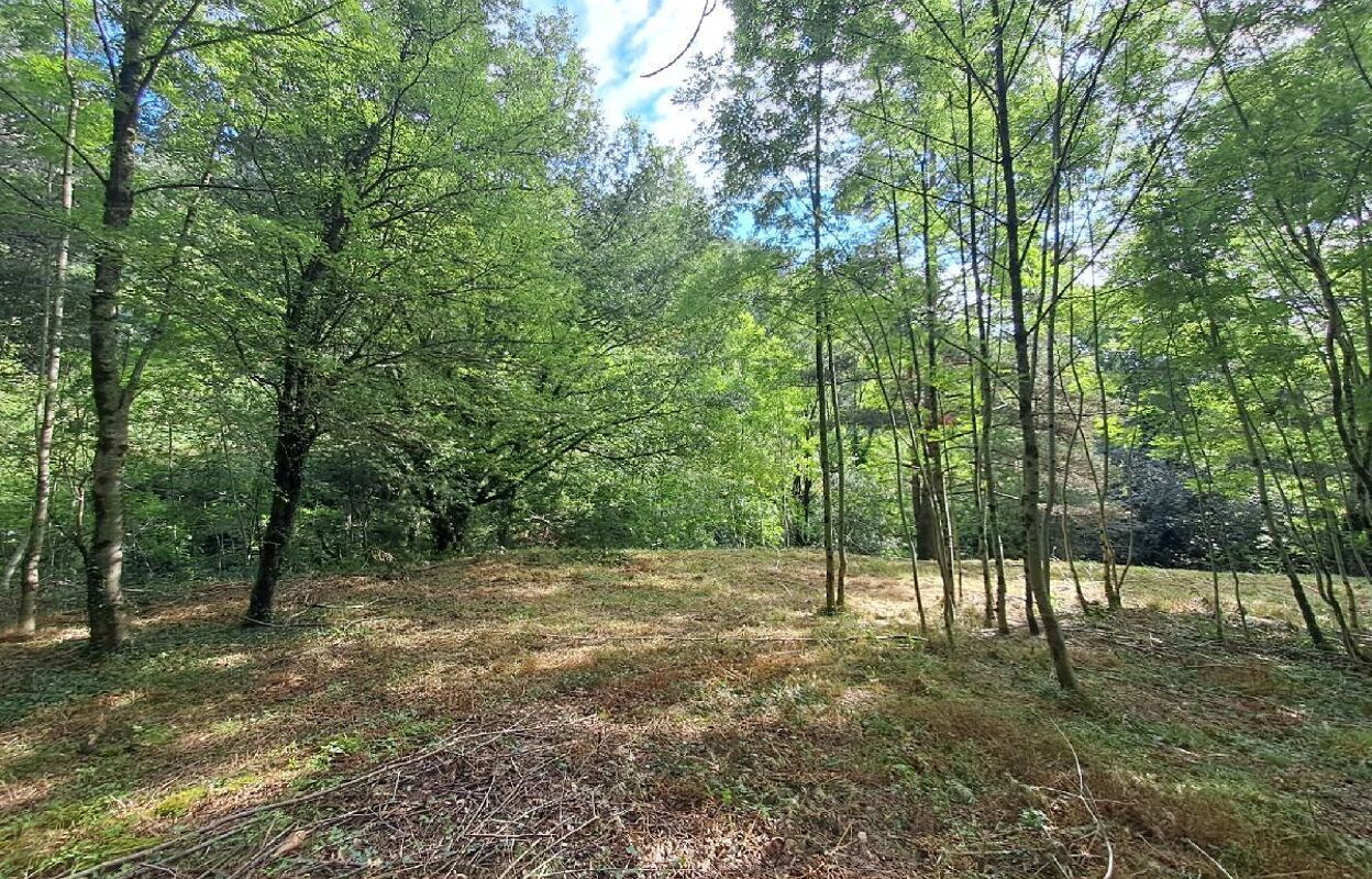 terrain  pièces 14472 m2 à vendre à Génolhac (30450)