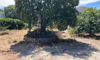 Terrain   m² à vendre à Vendargues (34740)