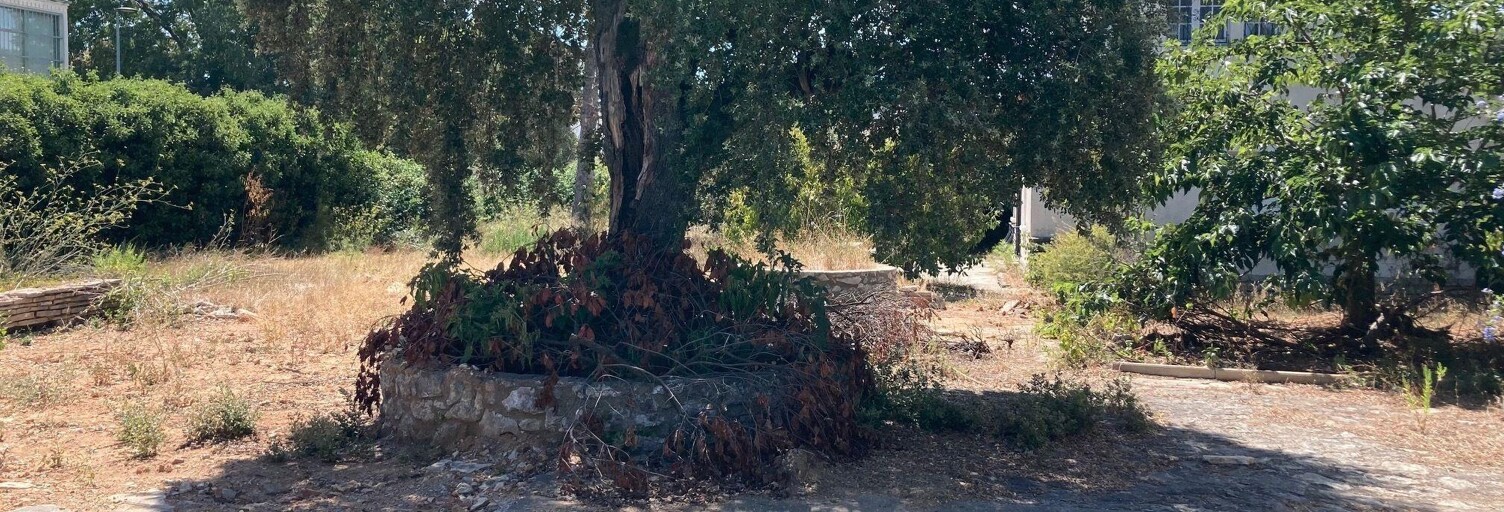 Terrain   m² à vendre à Vendargues (34740)