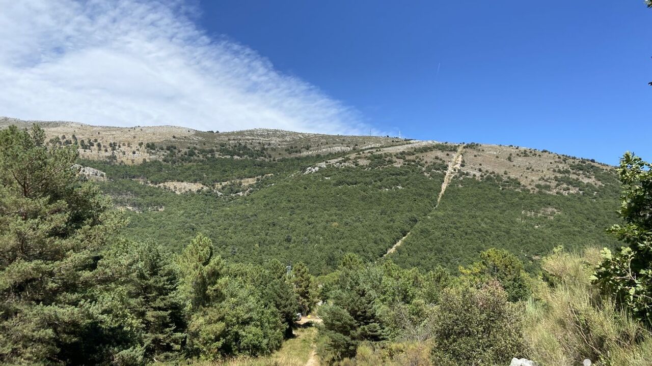 terrain  pièces 18480 m2 à vendre à Saint-Vallier-de-Thiey (06460)