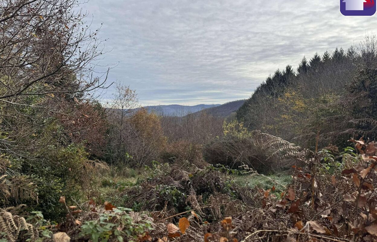 terrain  pièces 1590 m2 à vendre à Foix (09000)