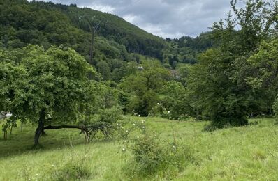 vente terrain 59 000 € à proximité de Chavannes-sur-l'Étang (68210)