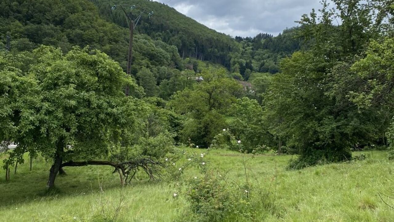 terrain  pièces 579 m2 à vendre à Masevaux (68290)