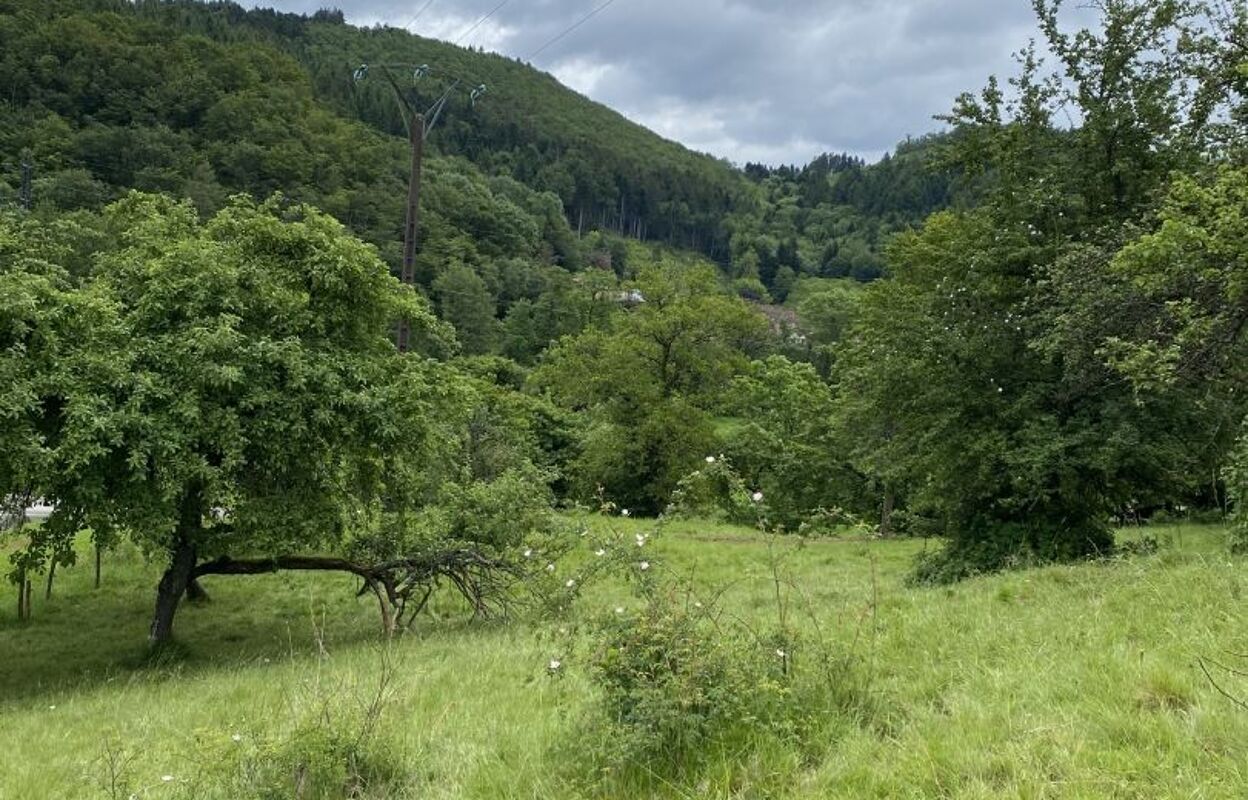 terrain  pièces 579 m2 à vendre à Masevaux (68290)