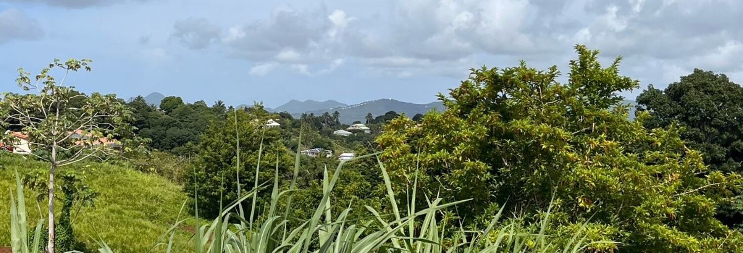 Terrain  500 m² à vendre à Rivière-Pilote (97211)