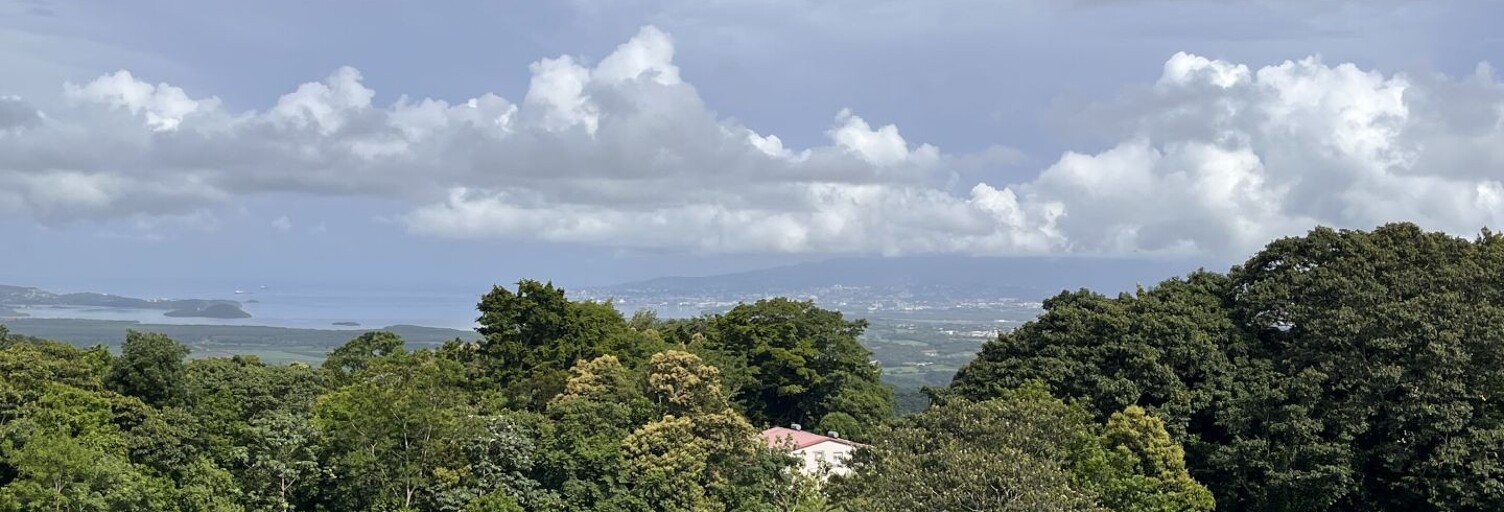 Terrain  500 m² à vendre à Rivière-Pilote (97211)