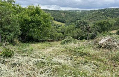 vente terrain 13 000 € à proximité de Saint-Rémy (12200)