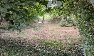 Photo N° 3