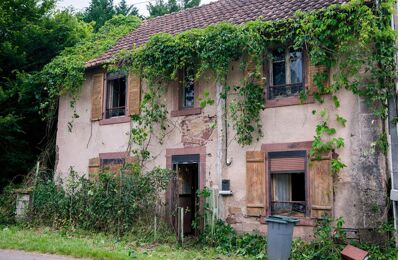 vente maison 50 000 € à proximité de Champagney (70290)