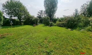 Photo N° 5