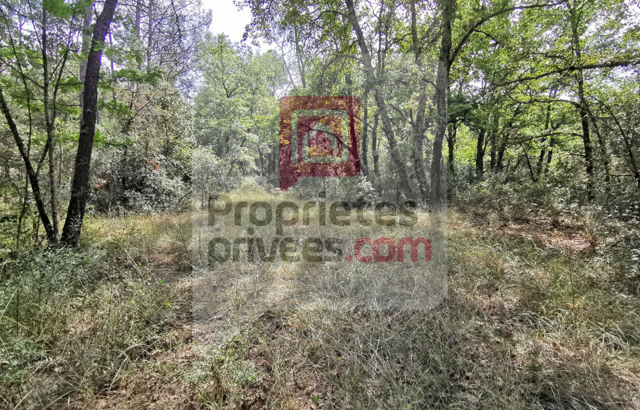 maison  pièces 7500 m2 à vendre à Trans-en-Provence (83720)