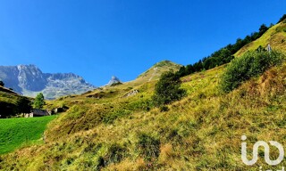 Photo N° 3