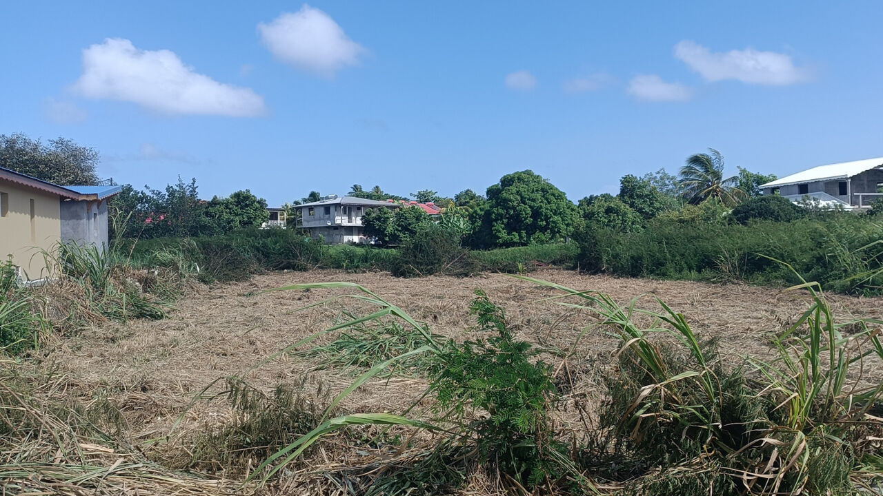 terrain  pièces 800 m2 à vendre à Anse-Bertrand (97121)