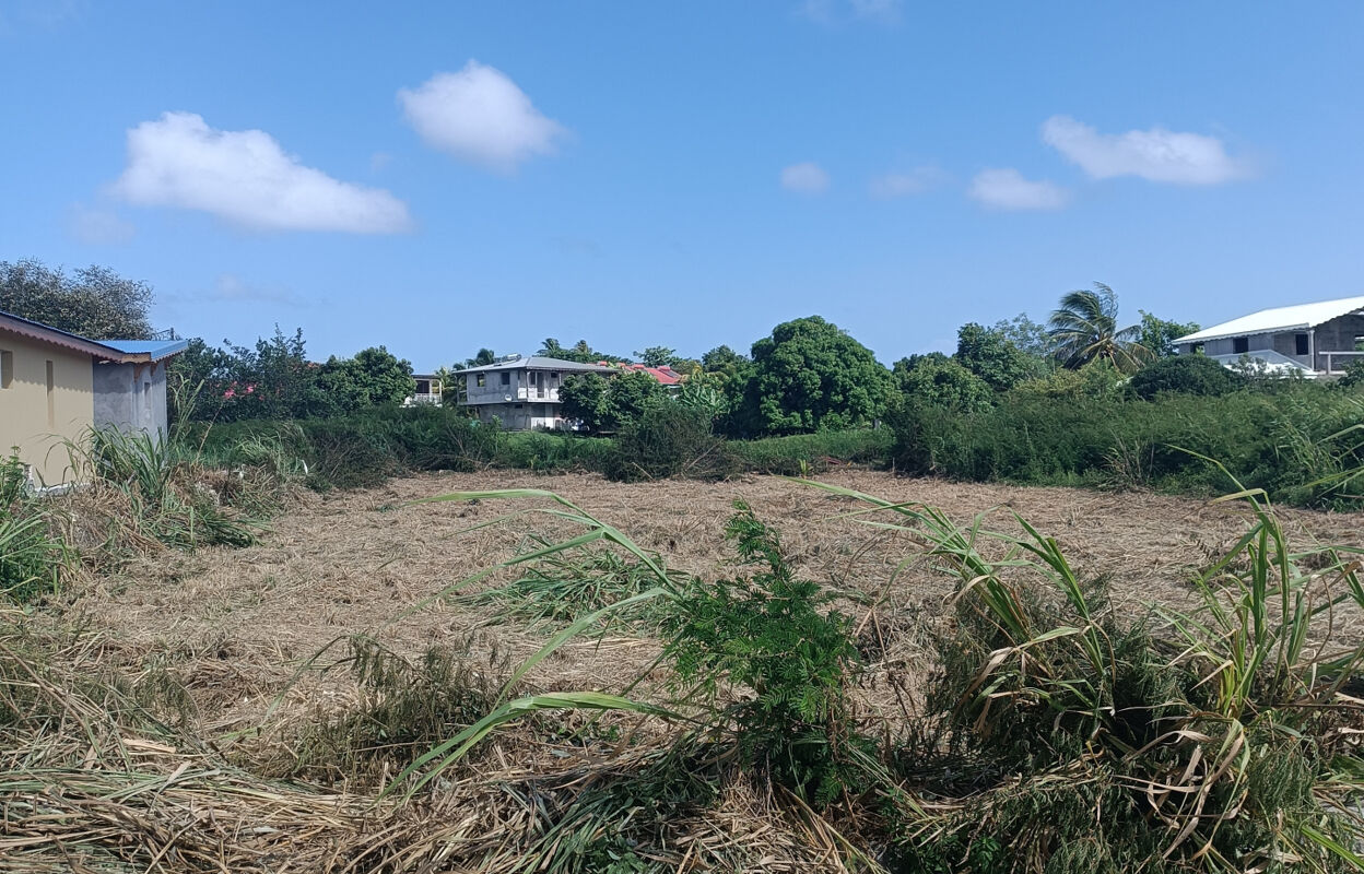 terrain  pièces 800 m2 à vendre à Anse-Bertrand (97121)