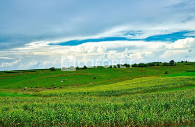 terrain  pièces 807 m2 à vendre à Camphin-en-Pévèle (59780)