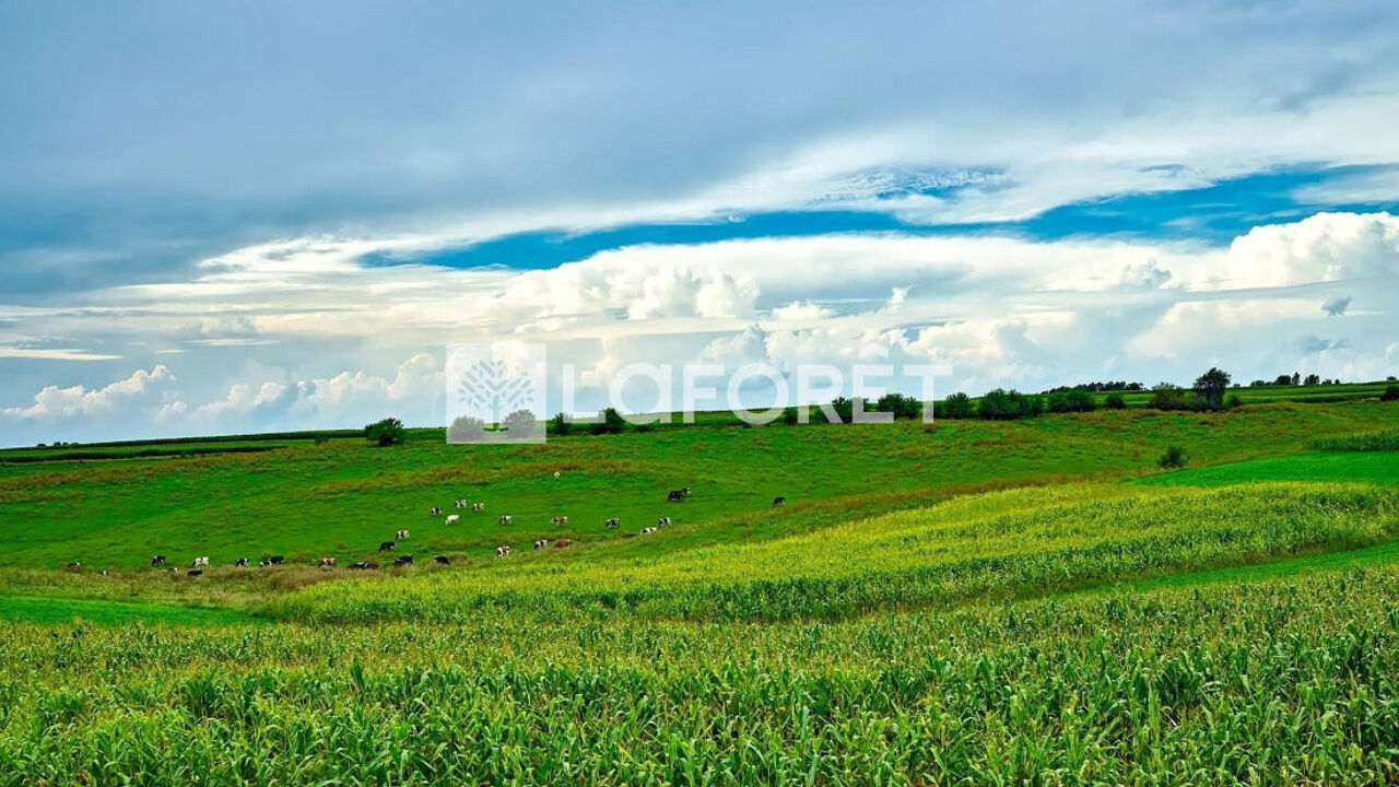 terrain  pièces 683 m2 à vendre à Camphin-en-Pévèle (59780)