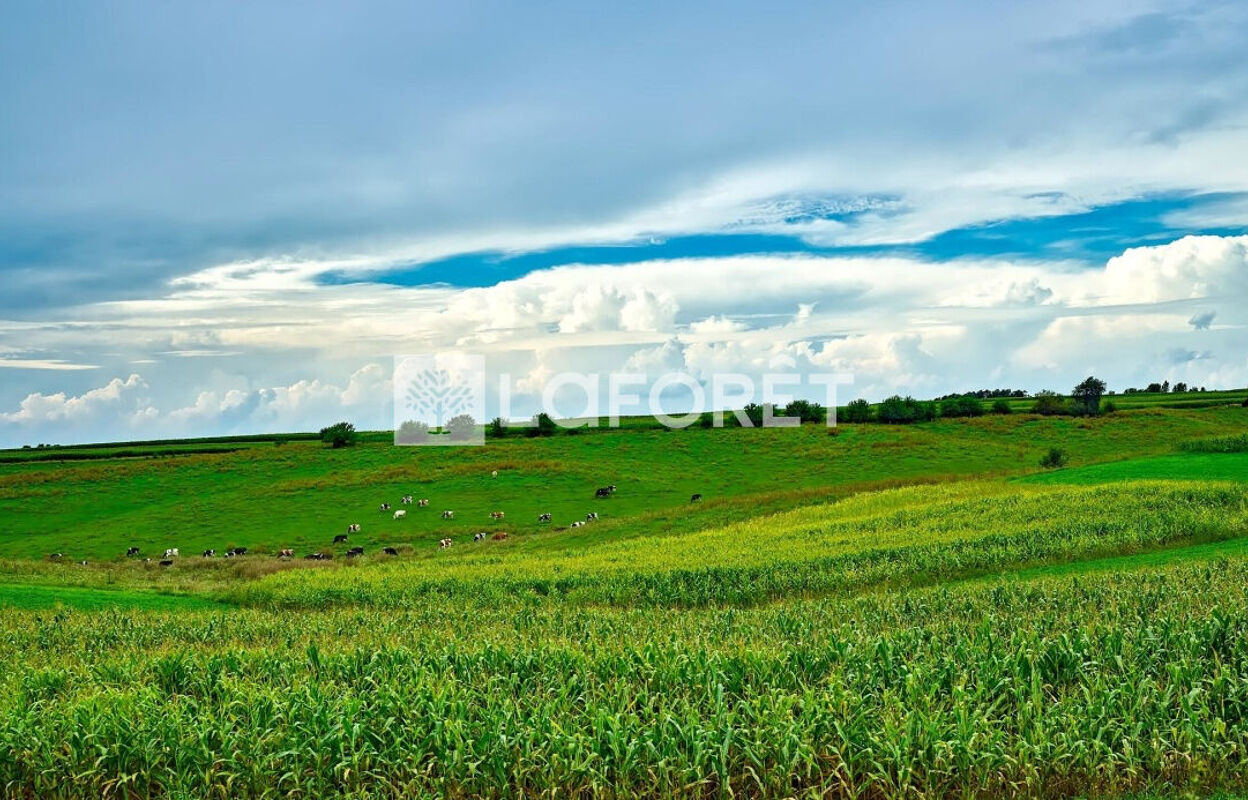 terrain  pièces 683 m2 à vendre à Camphin-en-Pévèle (59780)