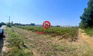 Terrain  37006 m² à vendre à Laudun-l'Ardoise (30290)