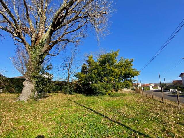 Terrain constructible de 650m2 Saint-Médard — photo du bien
