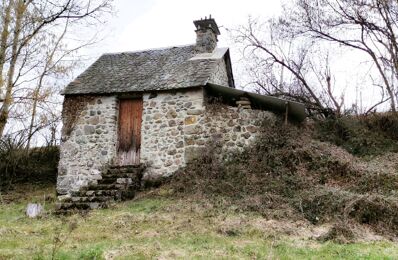 terrain  pièces 3540 m2 à vendre à Lanobre (15270)