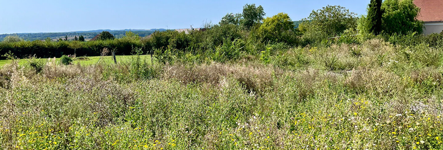 Terrain  770 m² à vendre à Saint-Georges-sur-Baulche (89000)