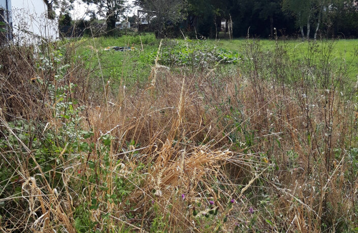 TERRAIN de 754 m2 à BATIR — photo 3