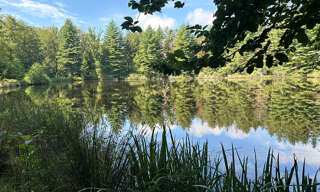 Terrain  18160 m² à vendre à Luxeuil-les-Bains (70300)