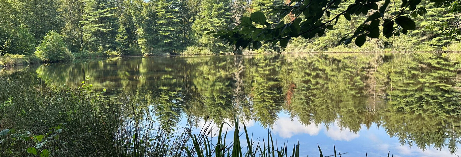 Terrain  18160 m² à vendre à Luxeuil-les-Bains (70300)