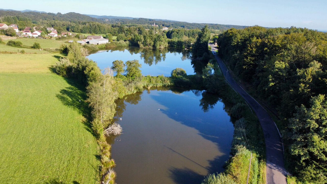 terrain  pièces 42861 m2 à vendre à Luxeuil-les-Bains (70300)