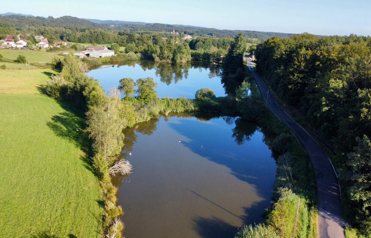 terrain  pièces 42861 m2 à vendre à Luxeuil-les-Bains (70300)