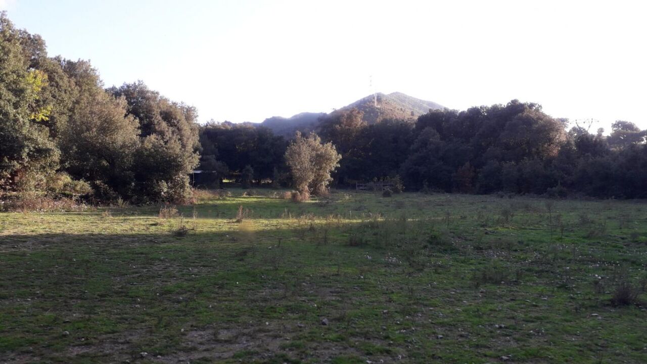 terrain  pièces 4360 m2 à vendre à Corte (20250)