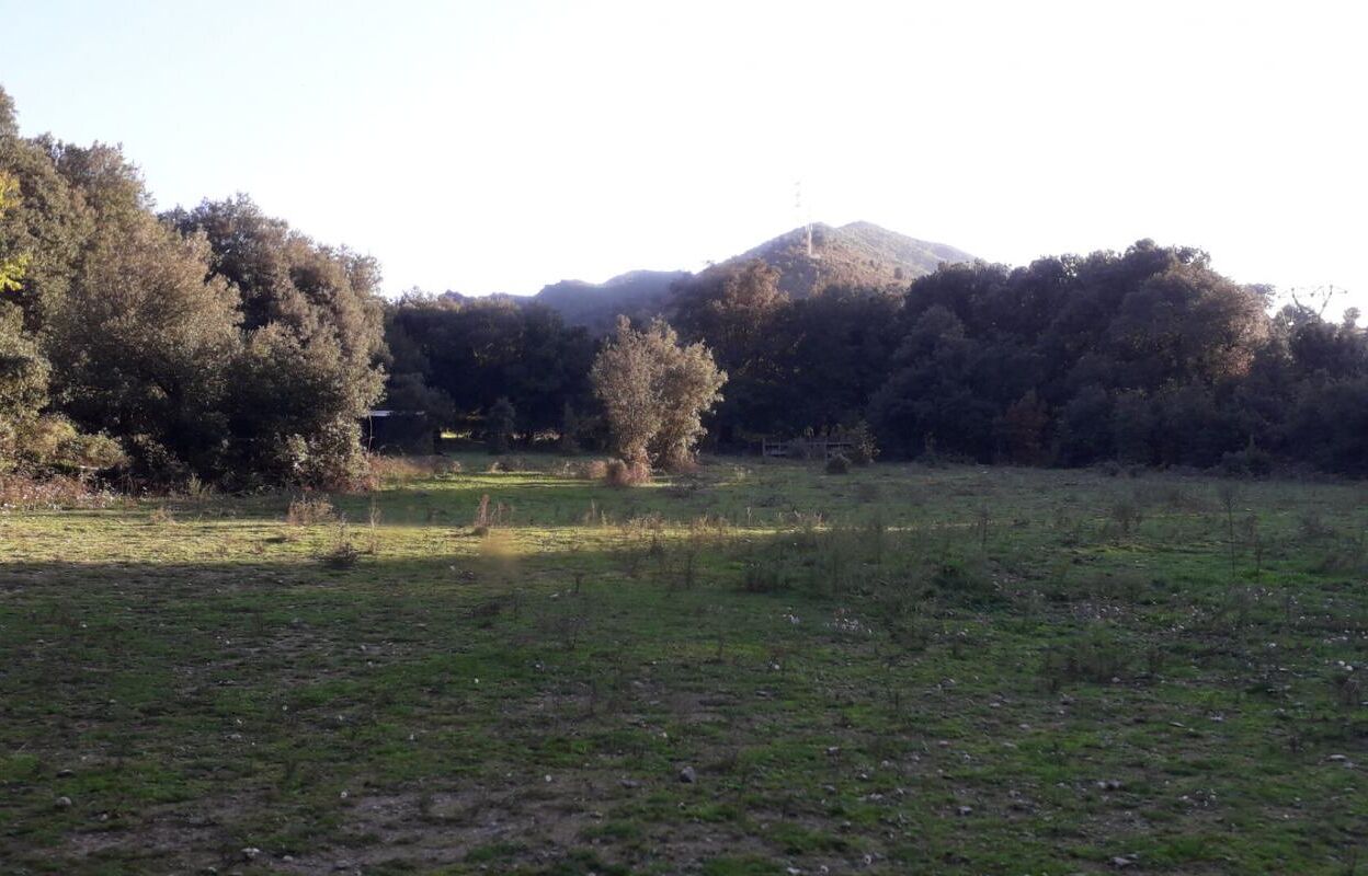 terrain  pièces 4360 m2 à vendre à Corte (20250)