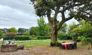 Photo N° 3