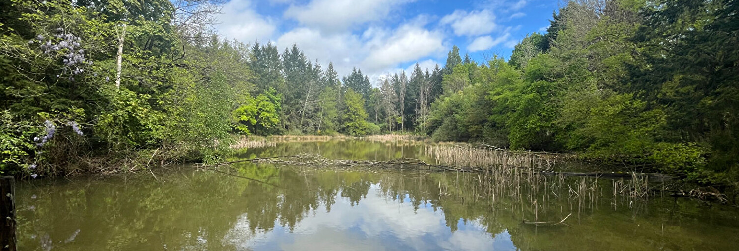 Terrain  40 m² à vendre à Coullons (45720)