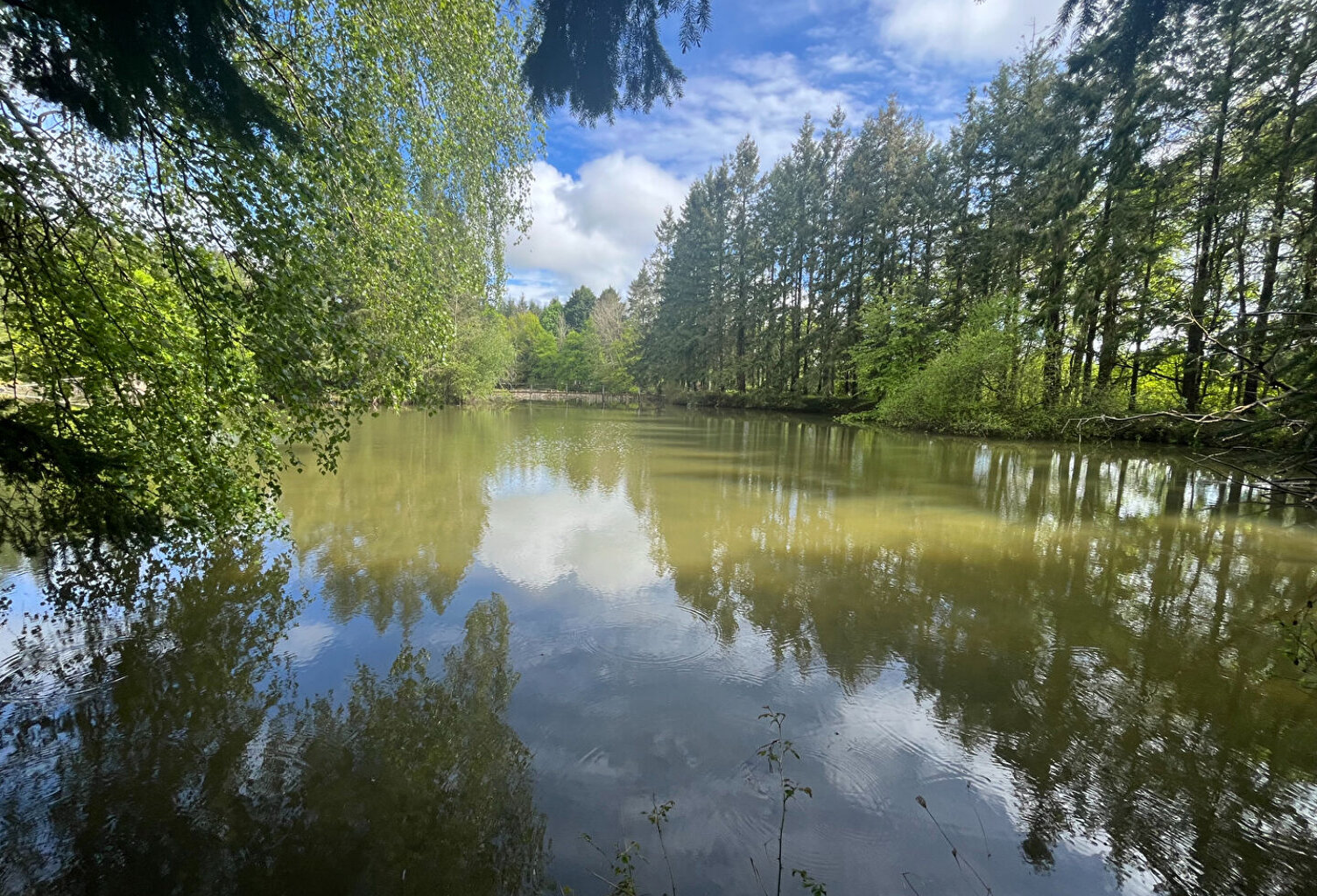 Terrain de loisirs Coullons 40 m2 — photo 1