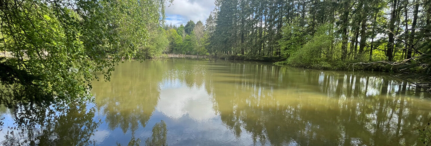 Terrain  40 m² à vendre à Coullons (45720)