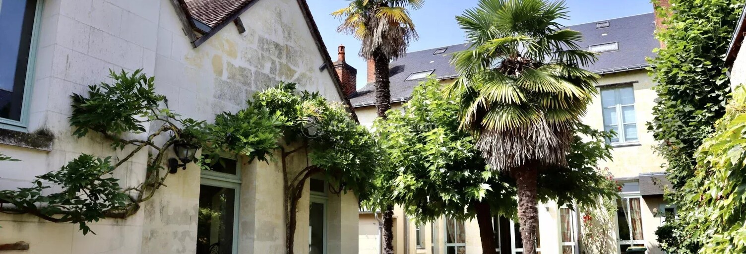 Maison 10 Pièces 275 m² à vendre à La Chartre-sur-le-Loir (72340)