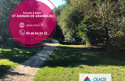 vente terrain 167 000 € à proximité de La Limouzinière (44310)