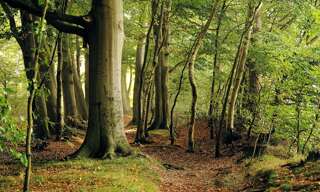 Terrain  406130 m² à vendre à Saint-Rémy-de-Maurienne (73660)