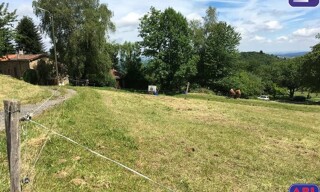 Photo N° 6