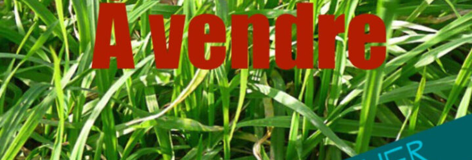 Terrain  825 m² à vendre à Civrieux-d'Azergues (69380)