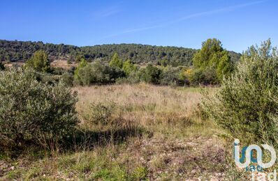 vente terrain 107 500 € à proximité de Pouzols-Minervois (11120)