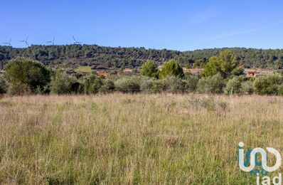 vente terrain 99 900 € à proximité de Pouzols-Minervois (11120)