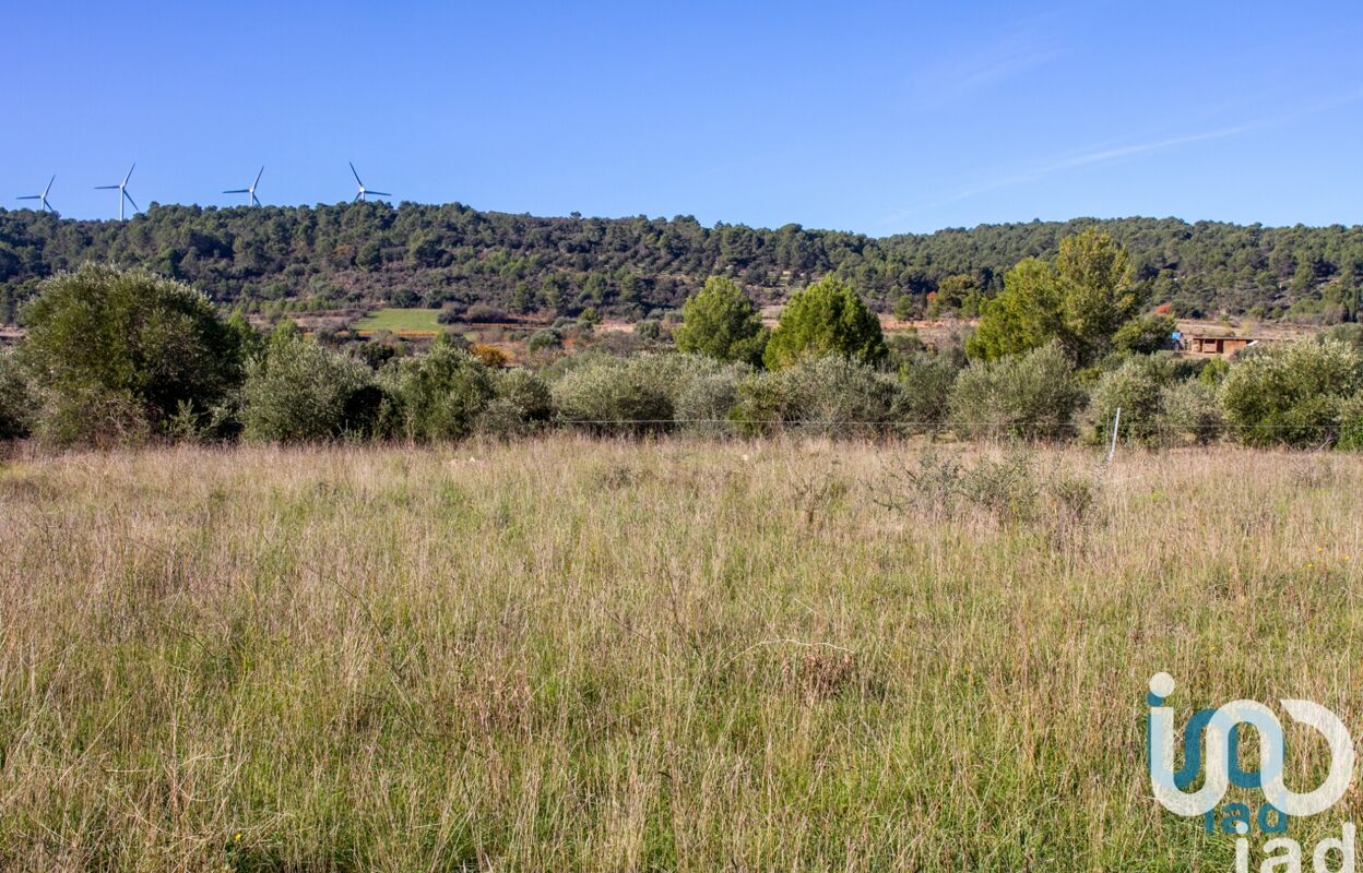 terrain  pièces 1060 m2 à vendre à Mailhac (11120)